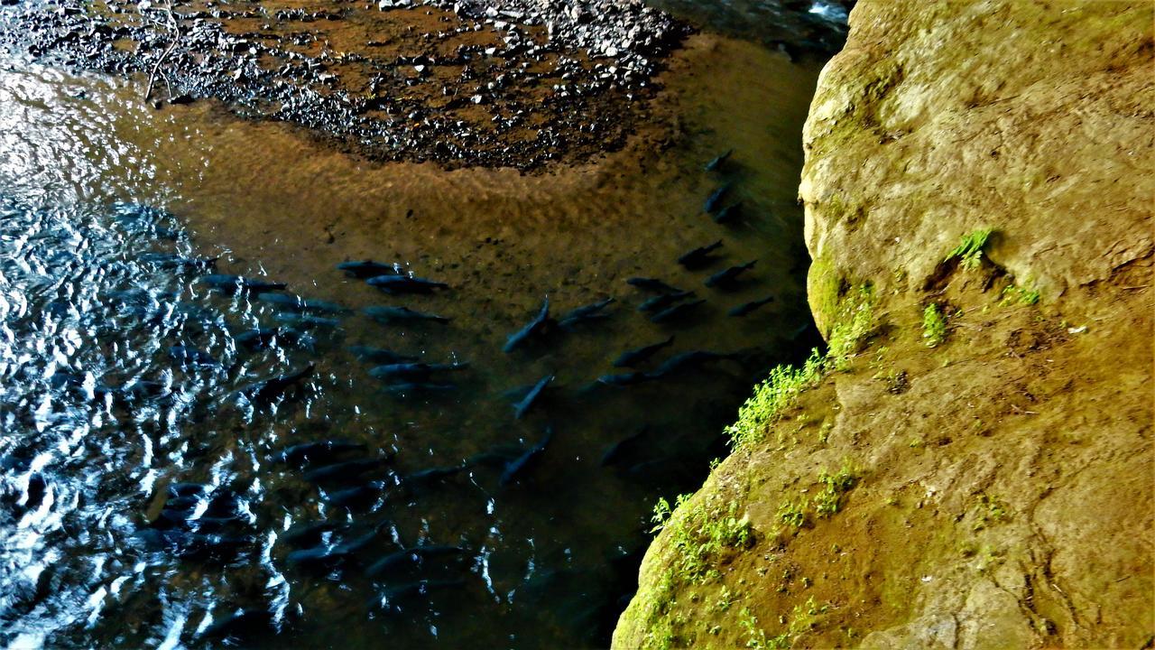 Riverside Bancsole Kültér fotó